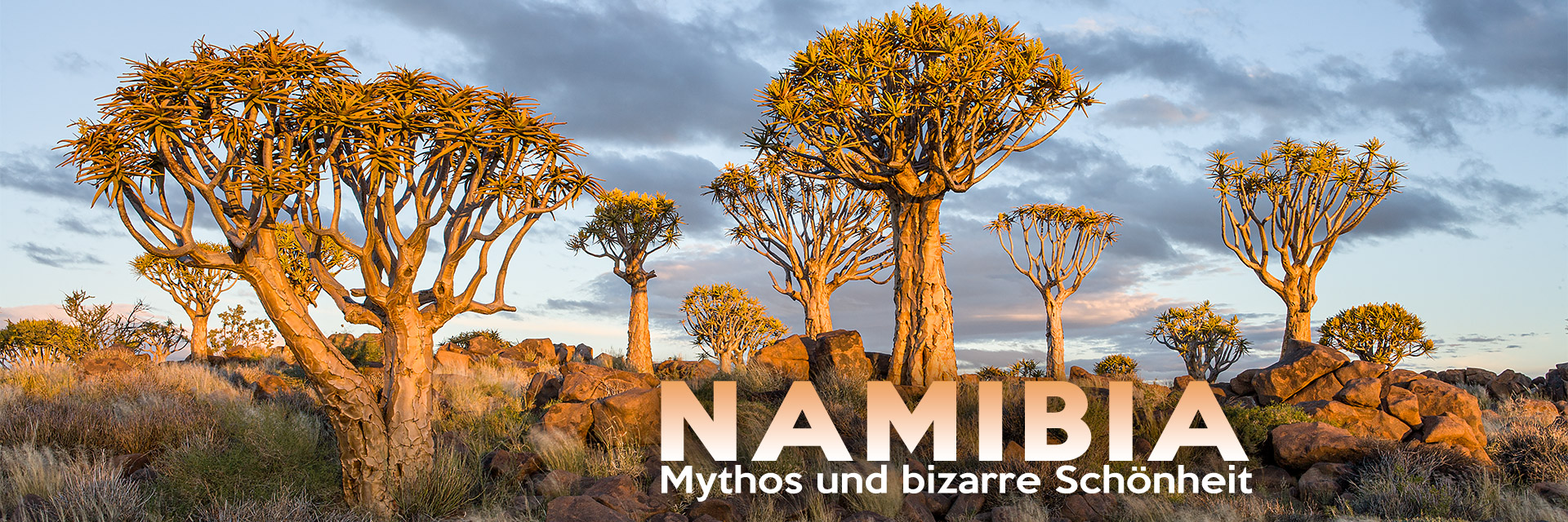 Namibia – Mythos und bizarre Schönheit