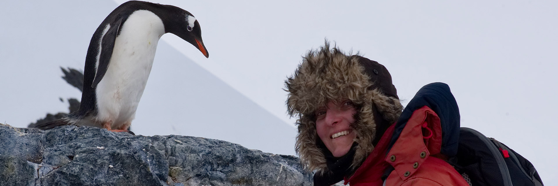 Bis ans Ende der Welt