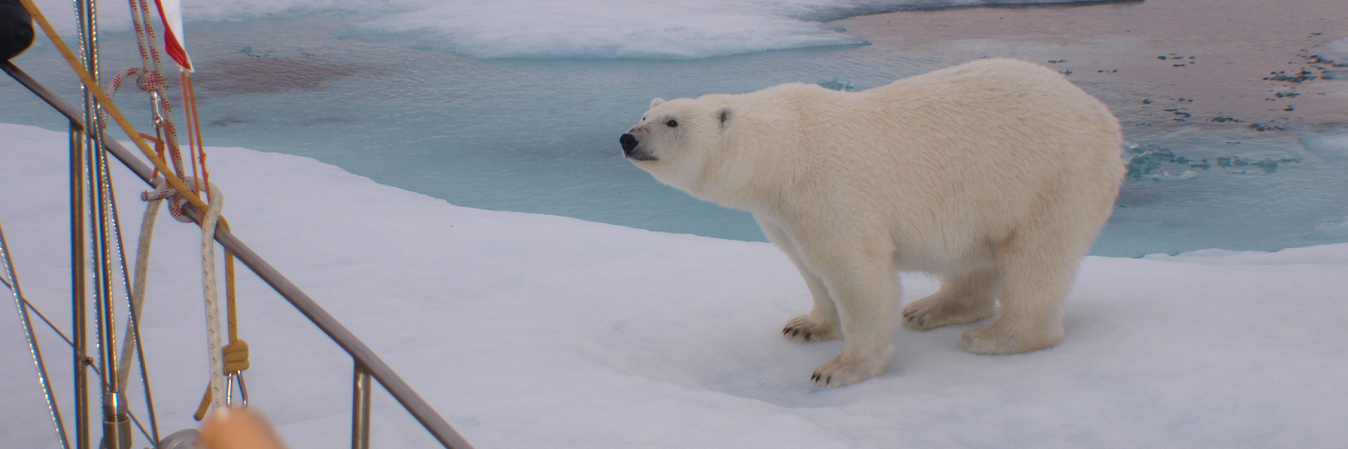 Bis ans Ende der Welt