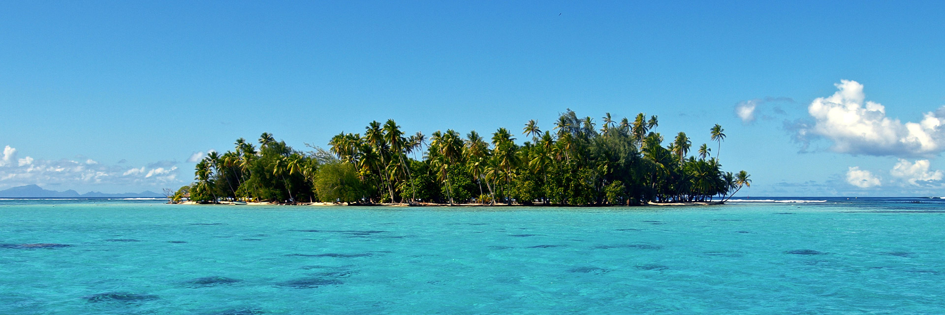 Bis ans Ende der Welt