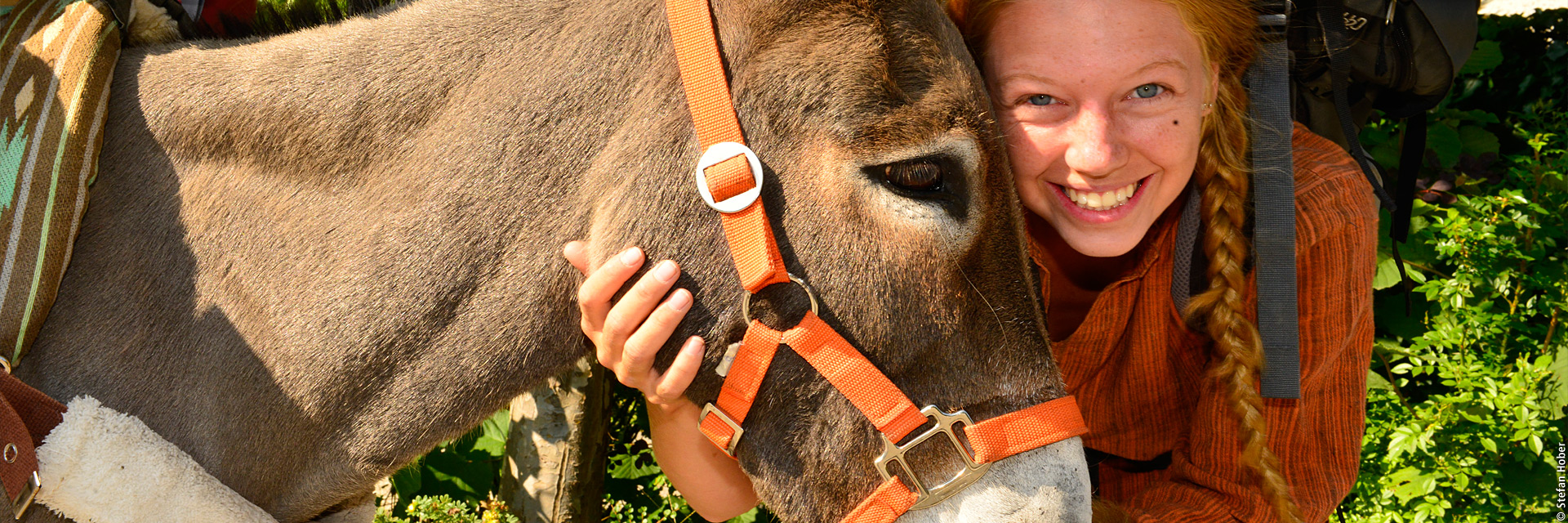 Ein Esel zum Pferdestehlen – Mit Esel Jonny zu Fuß von München bis ans Mittelmeer