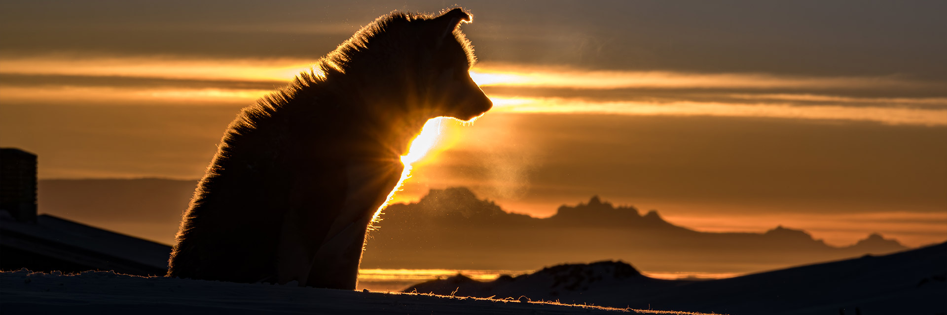 Grönland – Ruf der Stille