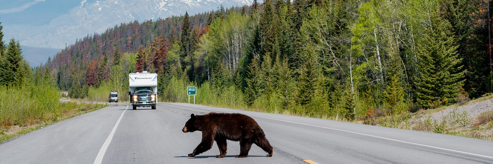 KANADA & ALASKA – Into the Wild