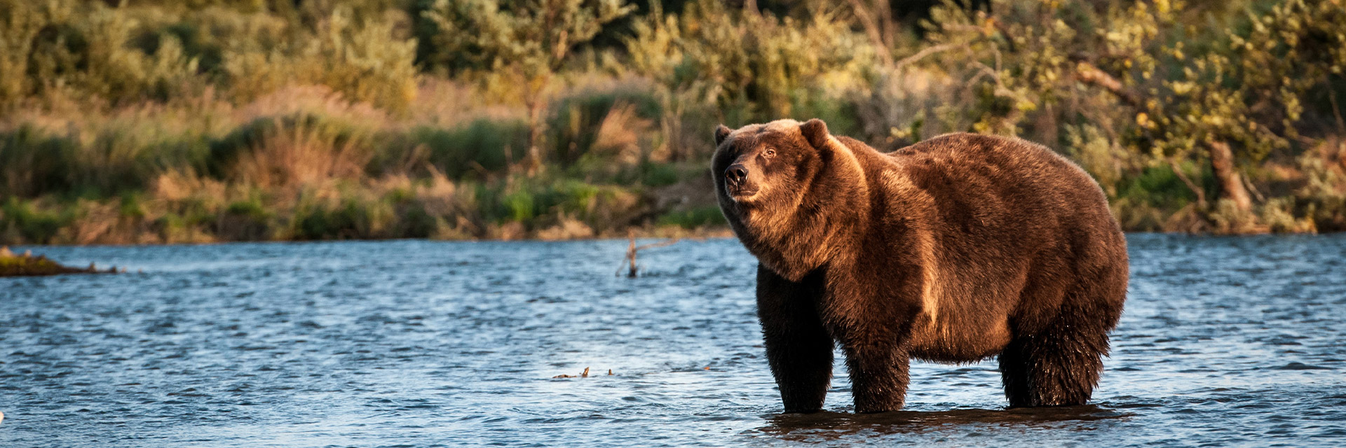 KANADA & ALASKA – Into the Wild