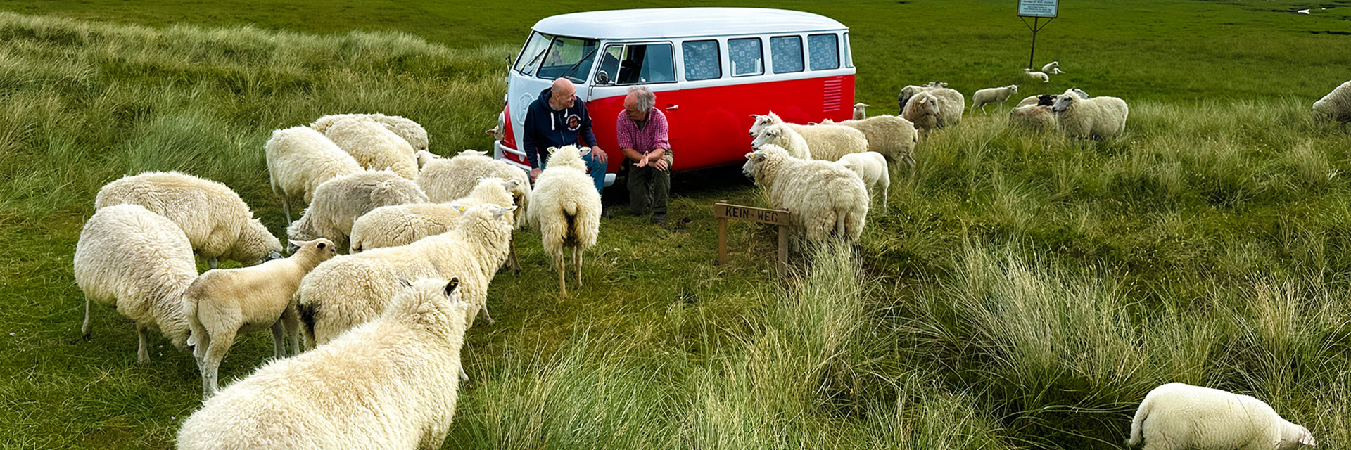 BULLI-Abenteuer: 360° Deutschand – 18.000 km • 180 Tage • 44 PS
