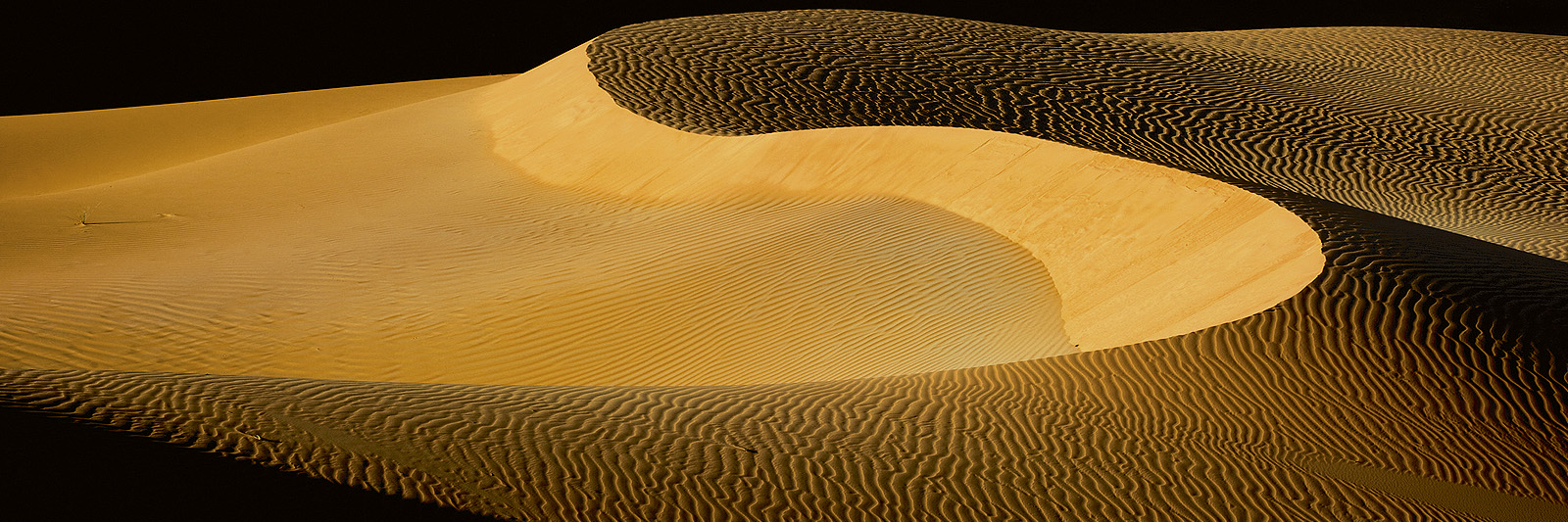 Planet Wüste – Abenteuer in Hitze und Eis