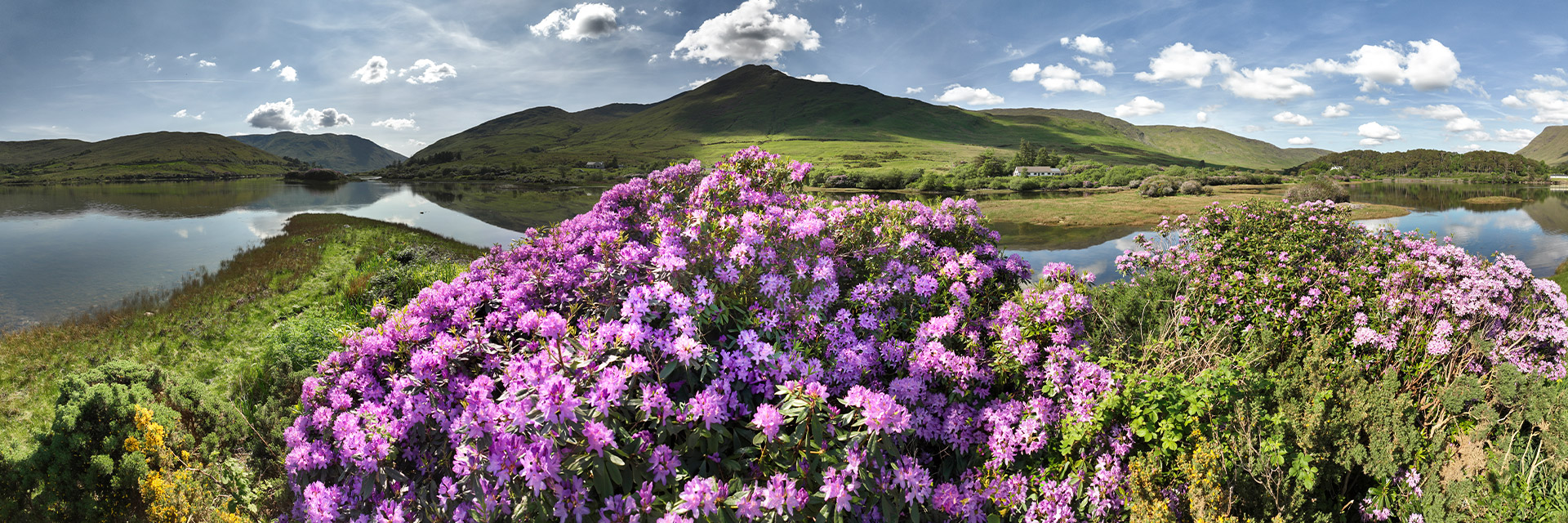Magisches Irland