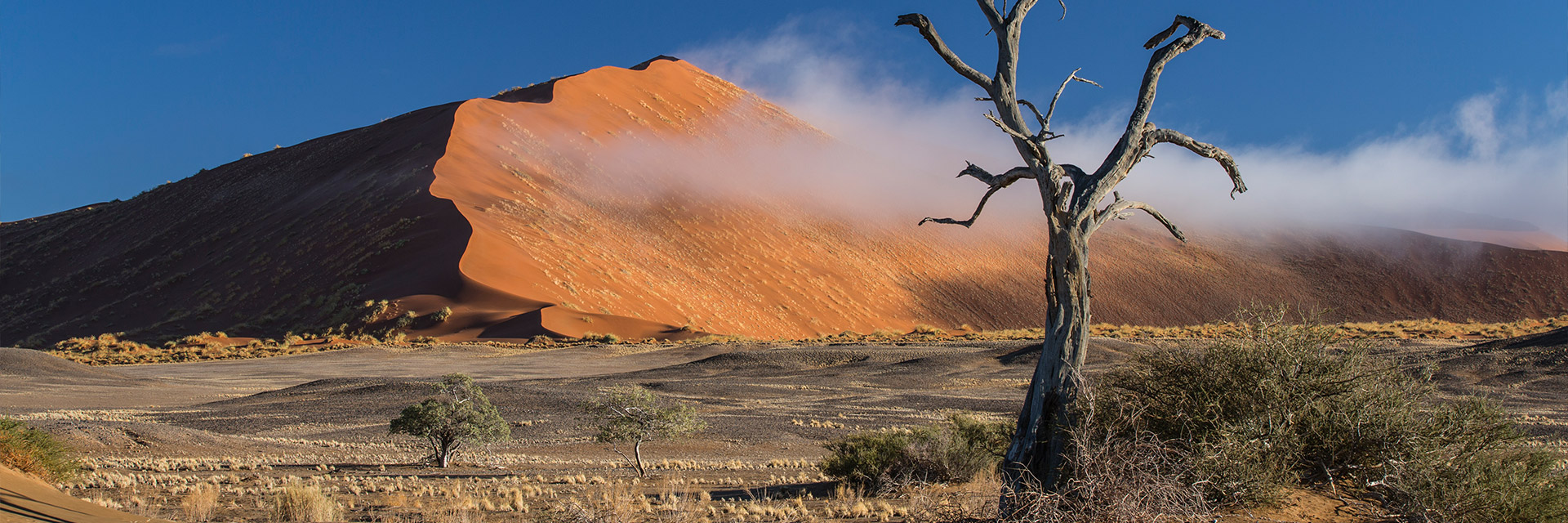 Namibia – Mythos und bizarre Schönheit