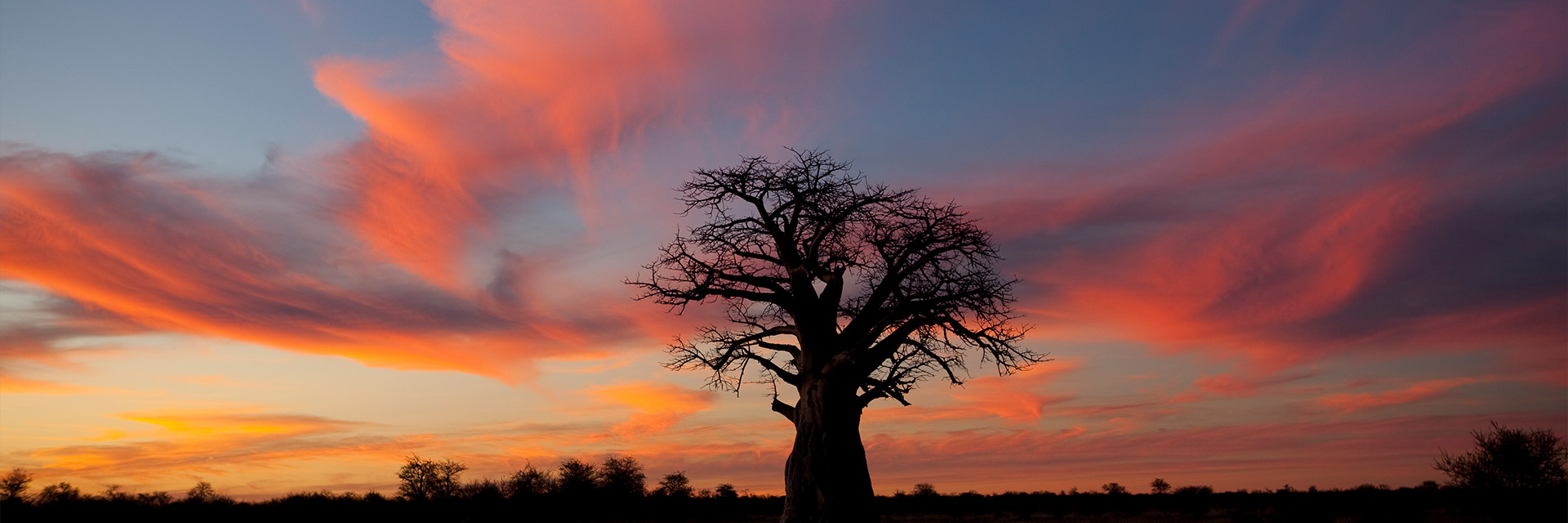 Namibia – Mythos und bizarre Schönheit