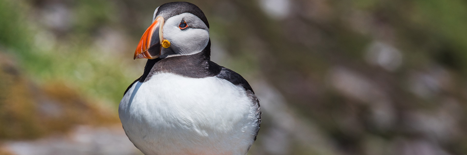 IRLAND – Wild Atlantic Ride