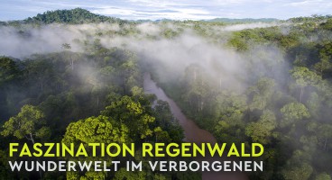 Faszination Regenwald – Wunderwelt im Verborgenen