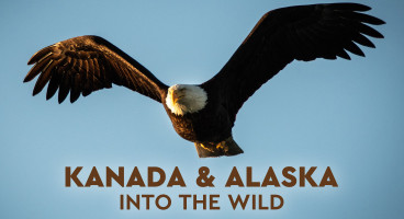 KANADA & ALASKA – Into the Wild