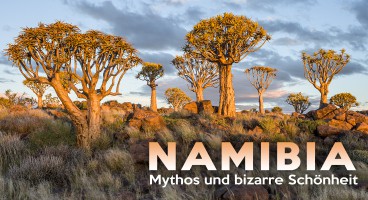 Reiner Harscher: Namibia – Mythos und bizarre Schönheit